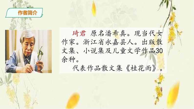 3《桂花雨》第一课时 课件第6页