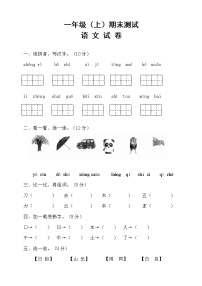 人教部编版一年级语文上册期末试卷（13）（有答案）