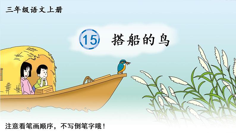 15 搭船的鸟 人教版语文三上生字教学课件(含自动播放配音)第1页