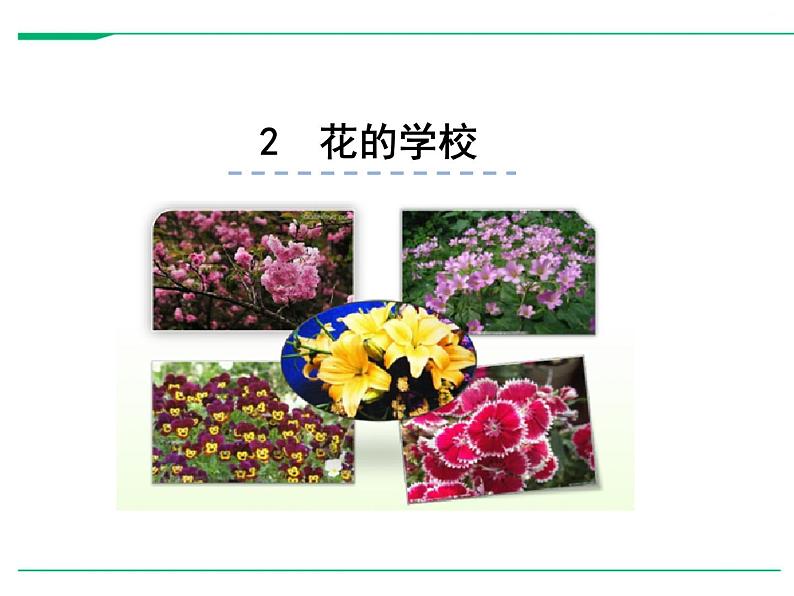2021-2022学年部编版小学三年级语文上册2 花的学校课件PPT01
