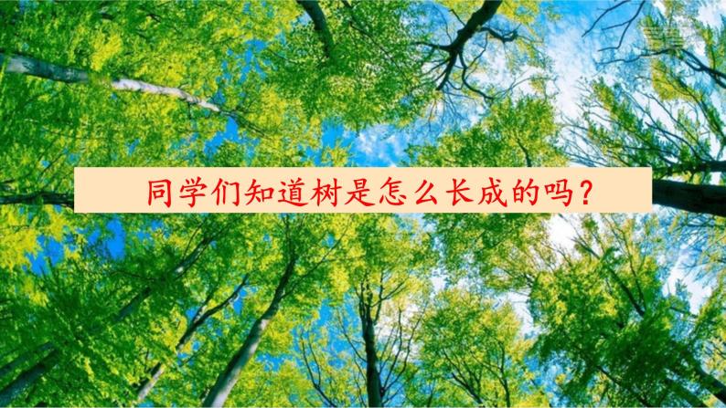 2021-2022学年部编版小学三年级语文上册9 那一定会很好课件PPT02