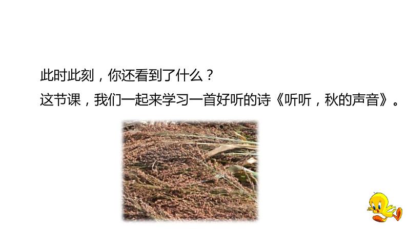 部编版三年级语文上册《听听,秋的声音》PPT优质课件下 (11)04