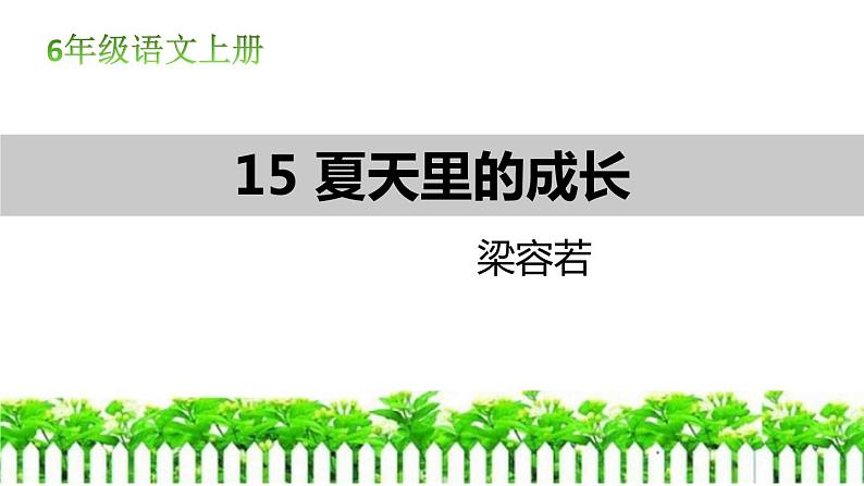 部编版六年级语文上册《夏天里的成长》PPT课文课件01