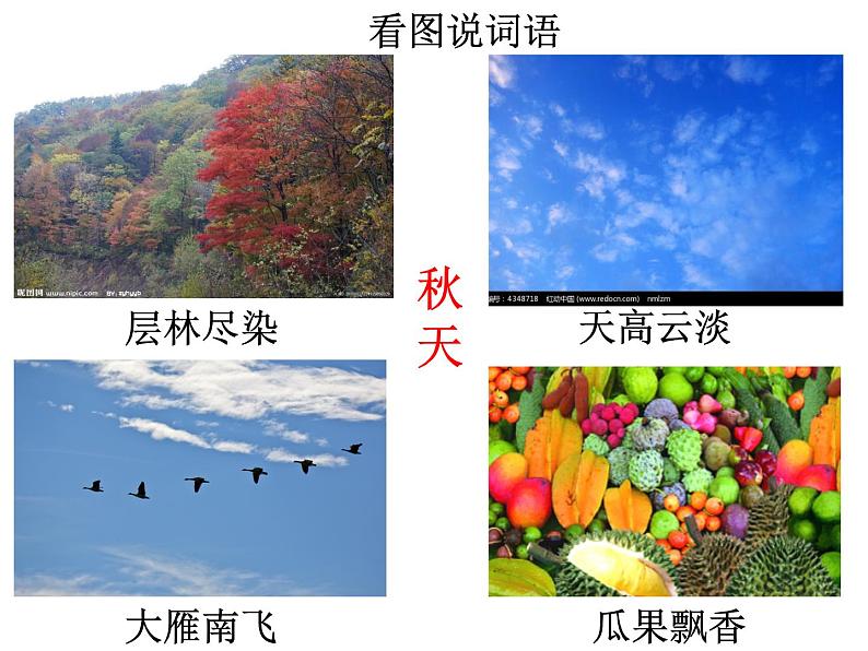 04统编版三年级语文上册 古诗三首《赠刘景文》1 ppt课件 (1)01