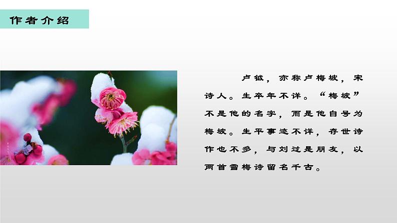2021-2022学年部编版小学四年级语文上册雪梅课件PPT04