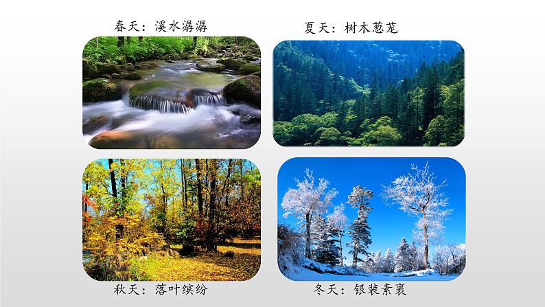 三年级上册语文课件-20美丽的小兴安岭(第一课时)人教(部编版) (共21张PPT)第5页