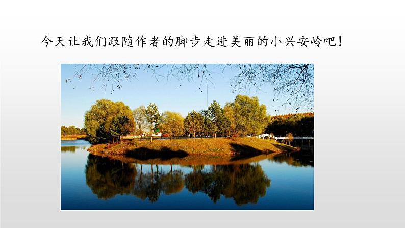 三年级上册语文课件-20美丽的小兴安岭(第一课时)人教(部编版) (共21张PPT)第6页