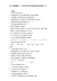 2021暑假预热——广东省广州市小升初语文练习试题（八）