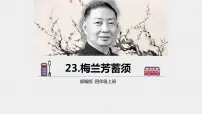 小学语文人教部编版四年级上册第七单元23 梅兰芳蓄须教学课件ppt