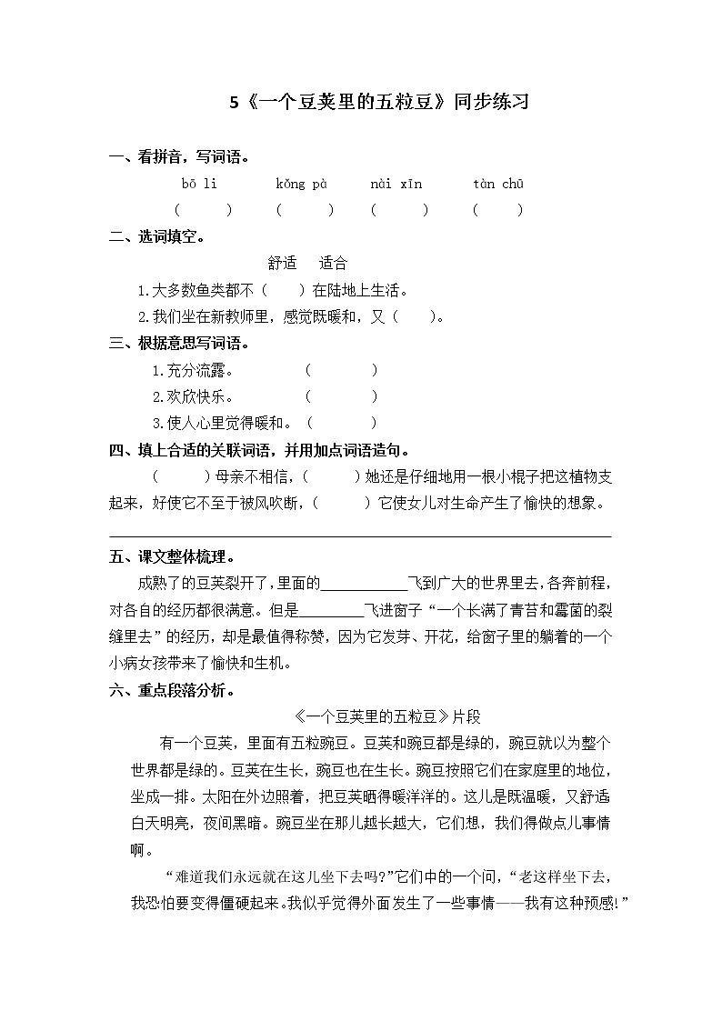 5《一个豆荚里的五粒豆》一课时课件+教案+练习01
