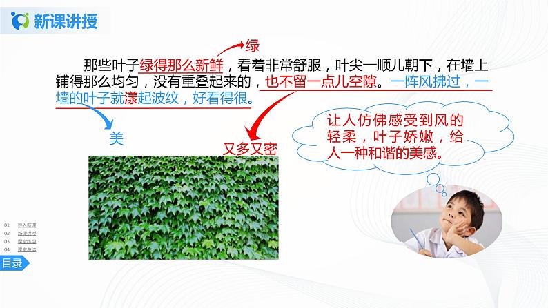 10《爬山虎的脚》第二课时课件+教案+练习08