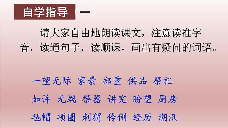 部编版六年级语文上册 24少年闰土课件PPT第5页
