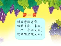 2021学年课文311 葡萄沟课文内容ppt课件