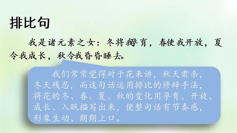 部编版六年级上册语文复习 专项3:句子复习课件(1)第4页