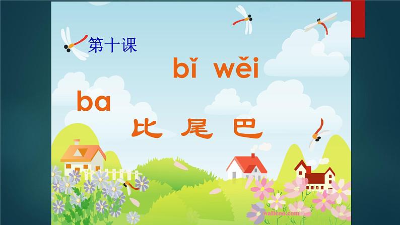 一年级上册语文 课文(二)6.比尾巴 课件 部编版 (五四制)03