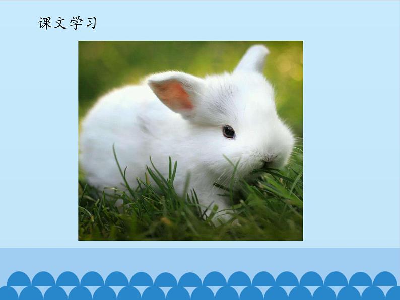 一年级上册语文 课文(二)6.比尾巴(1) 课件 部编版 (五四制)07