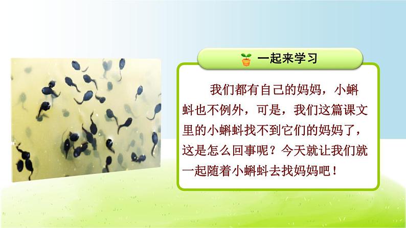 部编二上语文课件第1单元第1课 小蝌蚪找妈妈03
