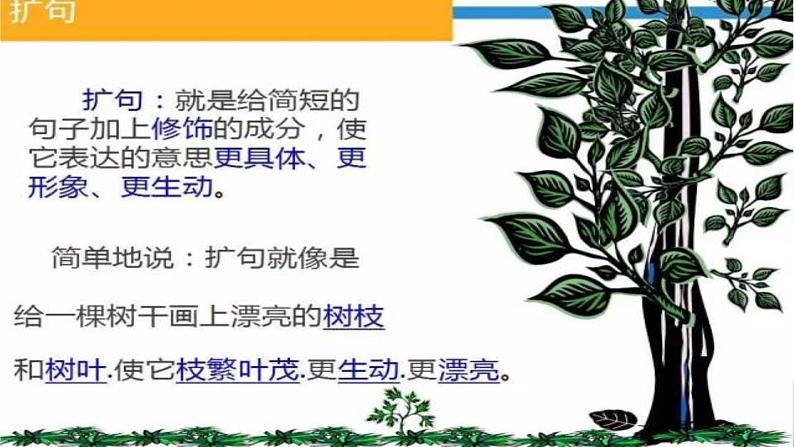 部编版语文小升初小学语文扩句、缩句专题课件(18张PPT)03