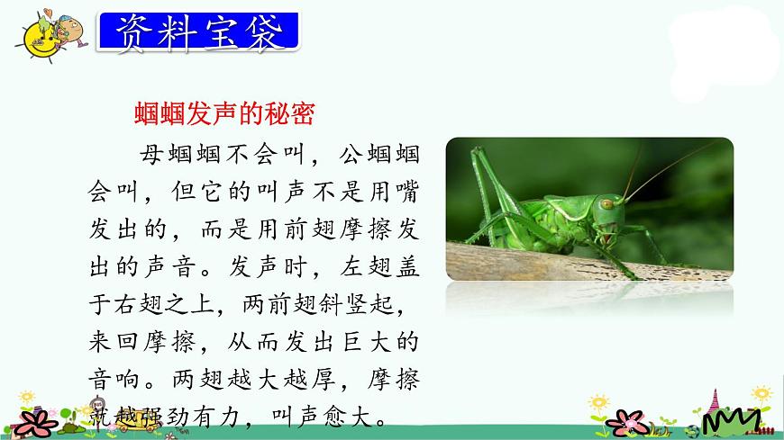 部編版三上語文21.大自然的聲音課件PPT第3頁