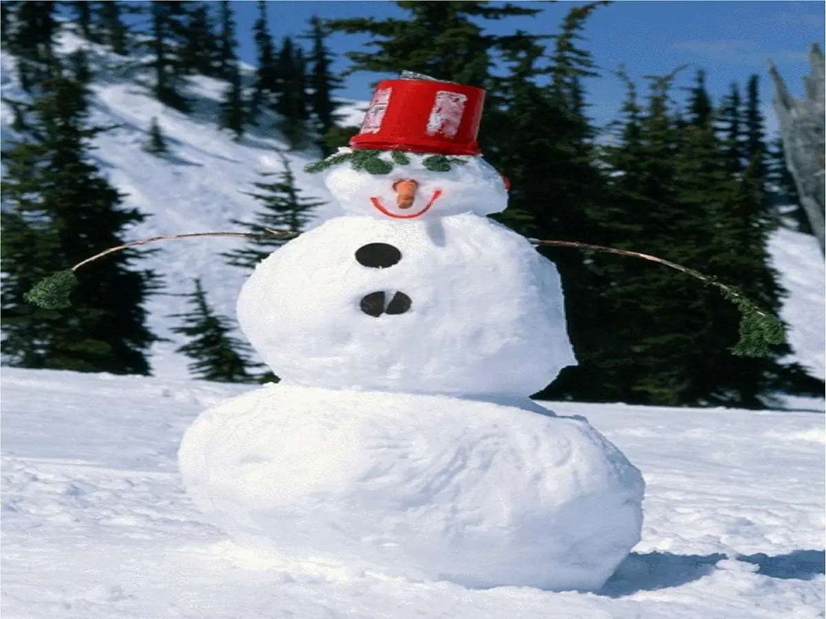 语文一年级上人教版(新疆专用)3.5《雪地里的小画家》课件(40张)第4页