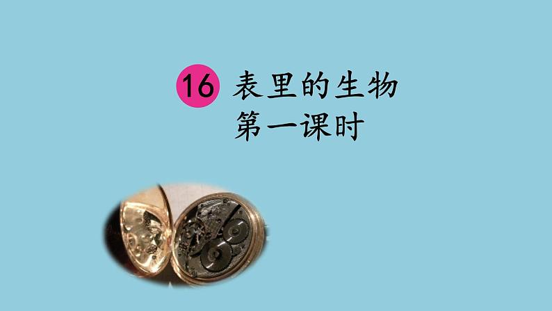 16《表里的生物》 课件01