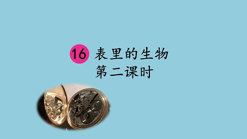 16《表里的生物》 课件07