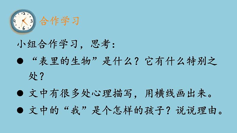 16《表里的生物》 课件08