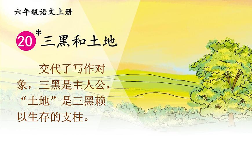 20 三黑和土地第3頁(yè)