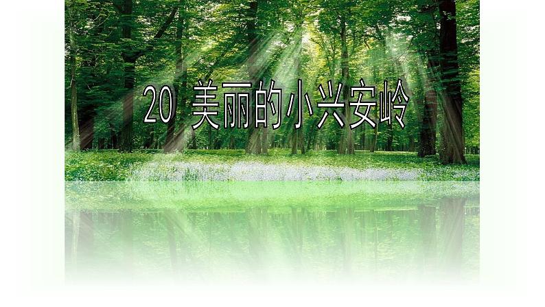 统编版三年级语文上册课件 20 美丽的小兴安岭1第6页