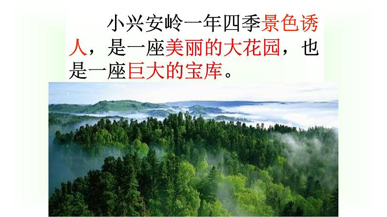 统编版三年级语文上册课件 20 美丽的小兴安岭1第7页