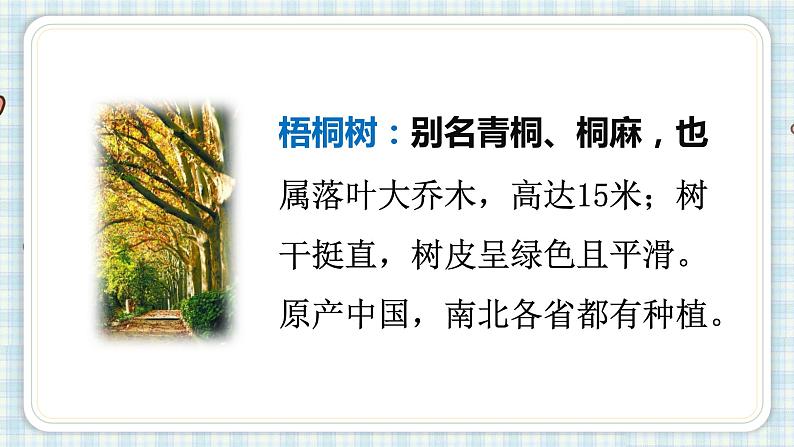 5 铺满金色巴掌的水泥道第一课时第4页