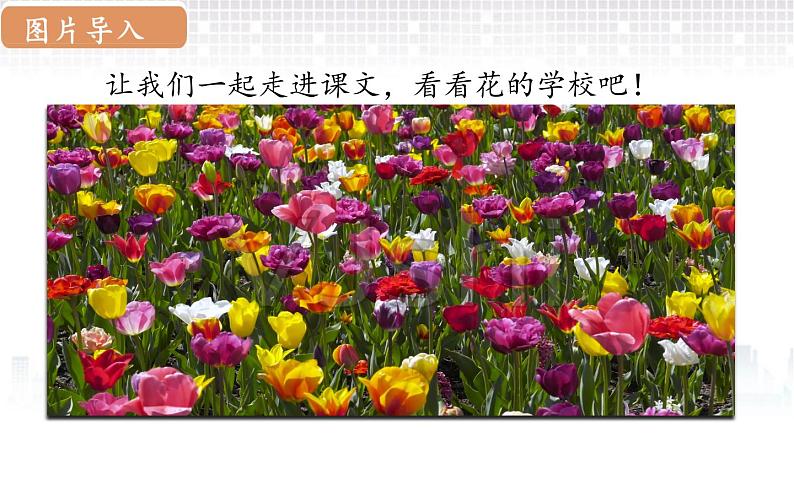 部编版三年级语文 2.花的学校课件(29张PPT)03
