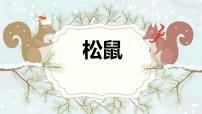 小学语文人教部编版五年级上册17 松鼠教学课件ppt