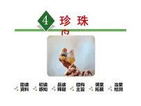 小学语文人教部编版五年级上册4* 珍珠鸟集体备课课件ppt
