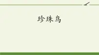人教部编版五年级上册4* 珍珠鸟课文课件ppt