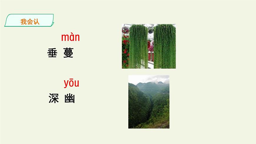 部編版五年級(jí)語(yǔ)文上冊(cè)《珍珠鳥(niǎo)》PPT課文課件 (13)第5頁(yè)