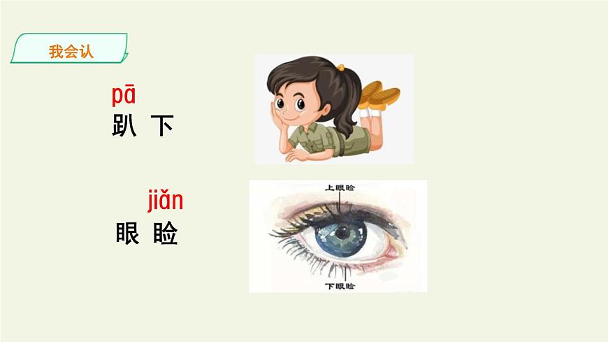 部編版五年級(jí)語(yǔ)文上冊(cè)《珍珠鳥(niǎo)》PPT課文課件 (13)第7頁(yè)