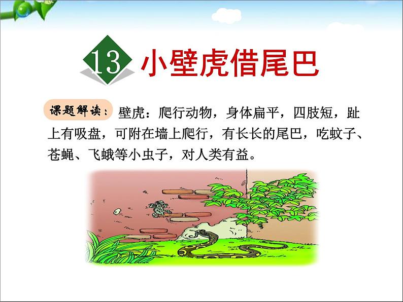 部编版语文一年级下册-08课文(六)-03小壁虎借尾巴-课件01第2页