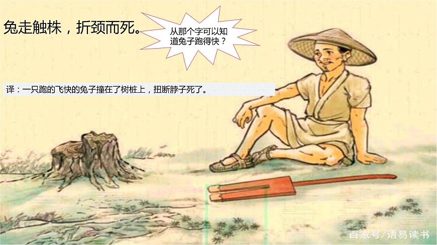 守株待兔課件第6頁