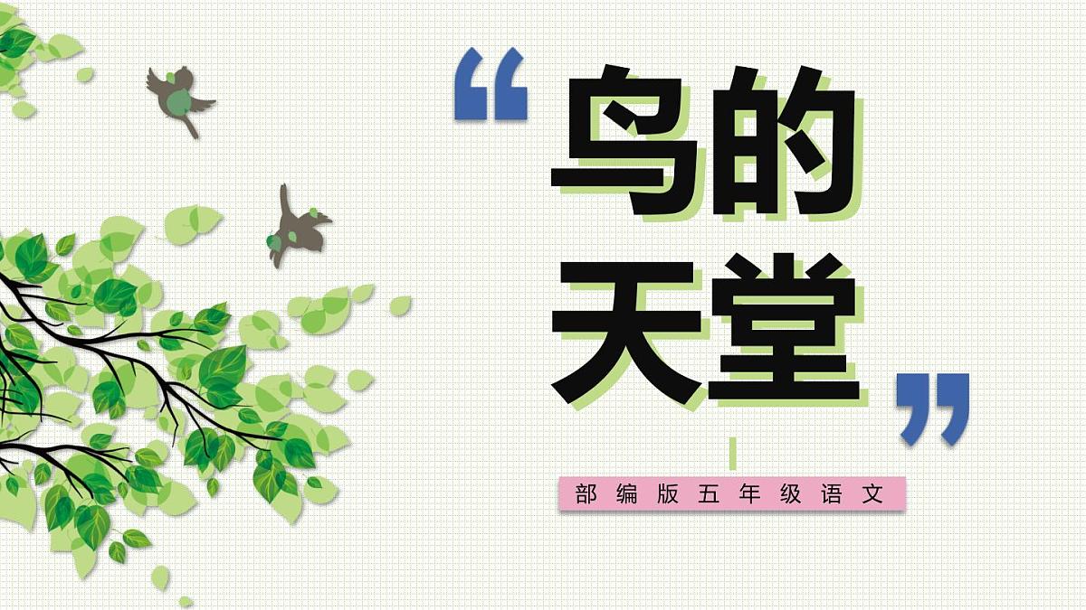 部编版五年级语文上册《鸟的天堂》PPT课件 第1页