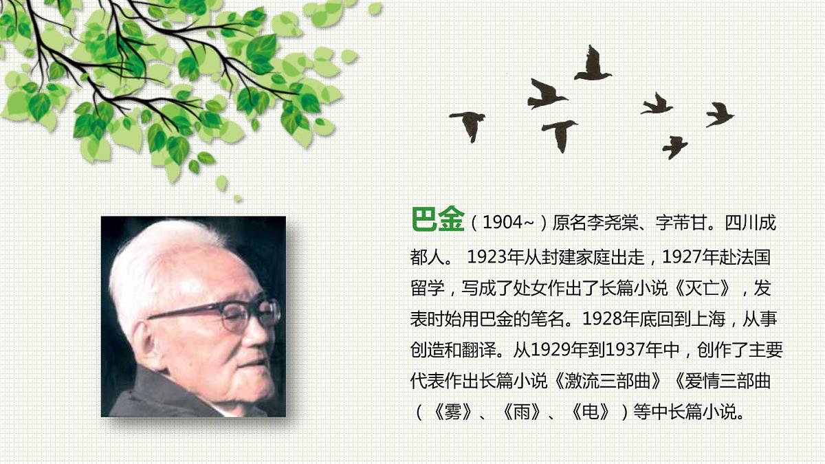 部编版五年级语文上册《鸟的天堂》PPT课件 第2页