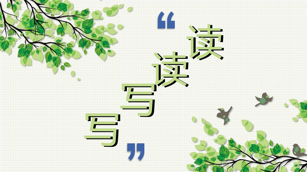 部编版五年级语文上册《鸟的天堂》PPT课件 第7页