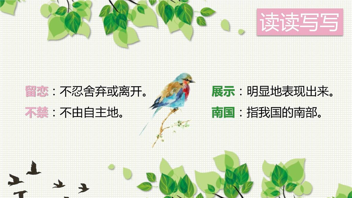 部编版五年级语文上册《鸟的天堂》PPT课件 第8页