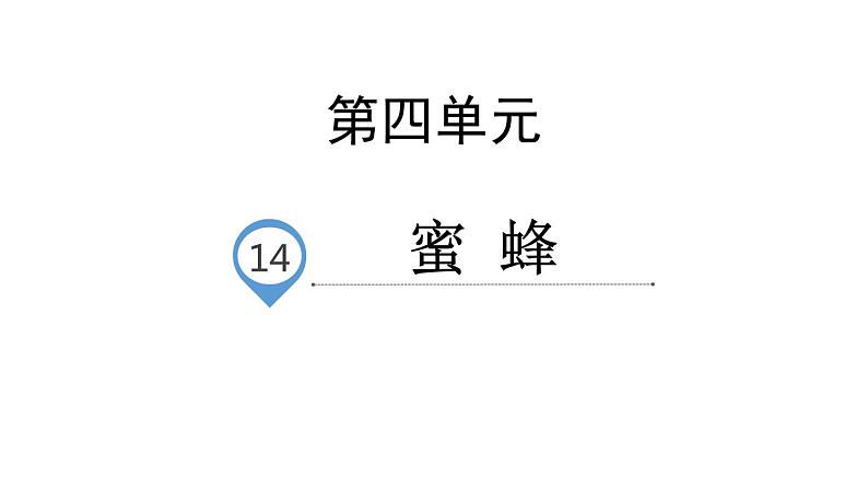 部编版三年级语文下册《蜜蜂》PPT课件 (1)第1页