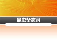 人教部编版三年级下册4* 昆虫备忘录集体备课ppt课件