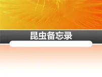 人教部编版三年级下册4* 昆虫备忘录集体备课ppt课件