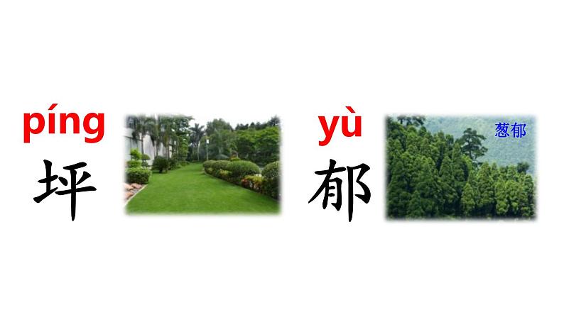 部编版二年级语文下册《彩色的梦》PPT课件 (8)第5页