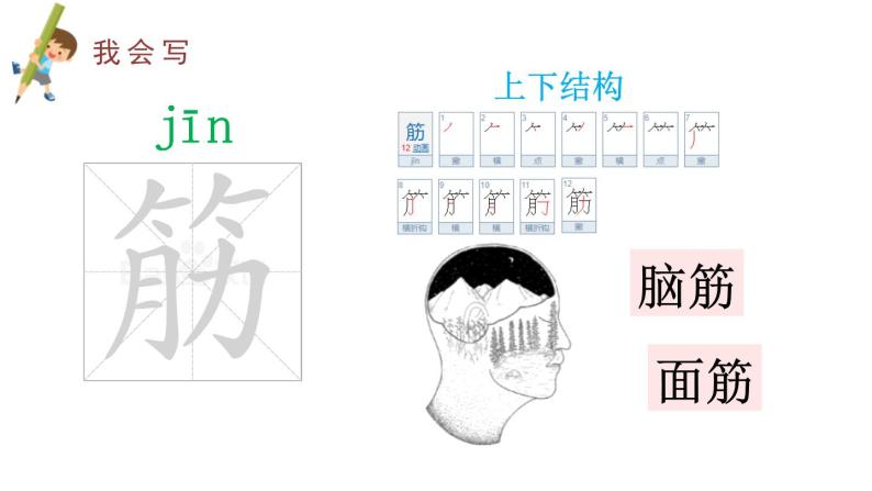 部编版二年级语文下册《揠苗助长》寓言二则PPT课件 (3)03