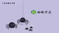 2021学年20 蜘蛛开店教课课件ppt