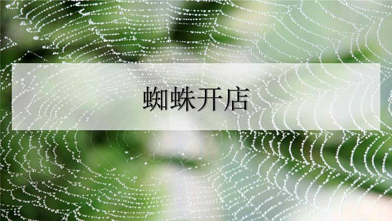 部编版二年级语文下册《蜘蛛开店》PPT优质课件 (5)01